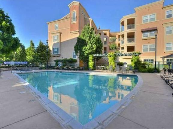 Club Swimming Pool