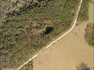 Riley Pridgeon Rd, Pierson, FL 32180