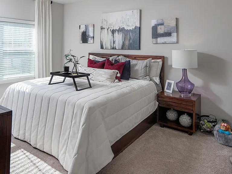 Pointe at Prosperity Village Apartments — Photo 58