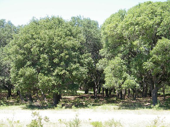 2nd image of 7185 N. Hwy 281
