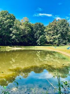 314 County Road 955 Valley, Valley Head, AL, 35989