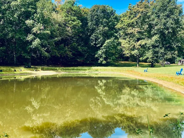314 County Road 955 Valley, Valley Head, AL 35989