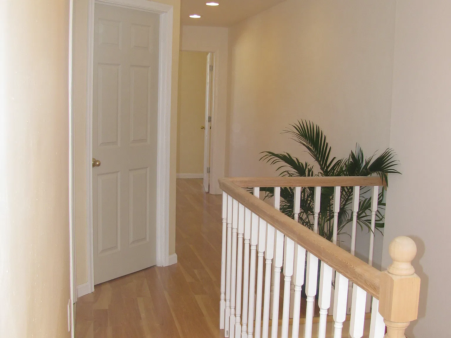 3 bed, 1800 sqft, $1,890 — Photo 3