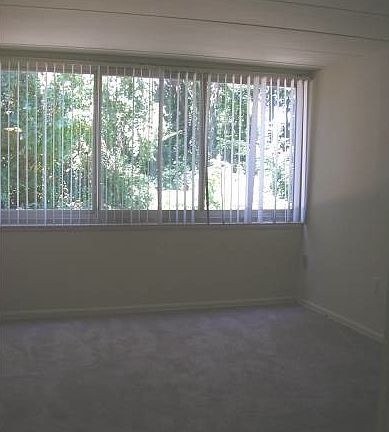 Large Bedroom Windows