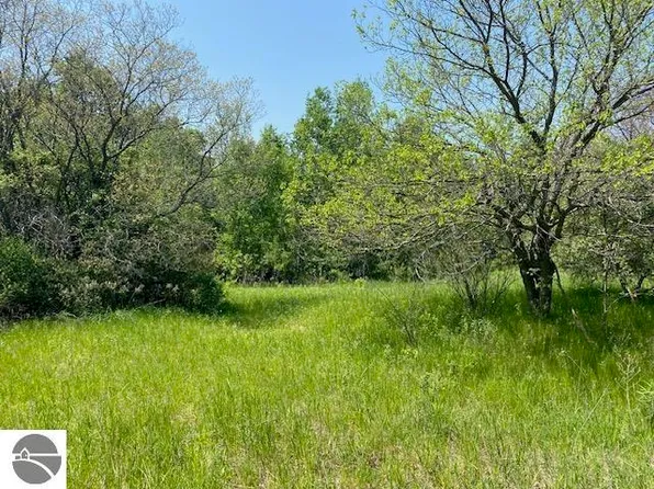 4 Lyns Ct, Williamsburg, MI 49690