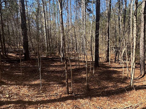 2nd image of 1802 Goings Rd