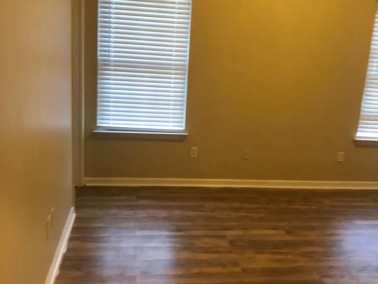 323 Goldenrod Dr — Photo 24