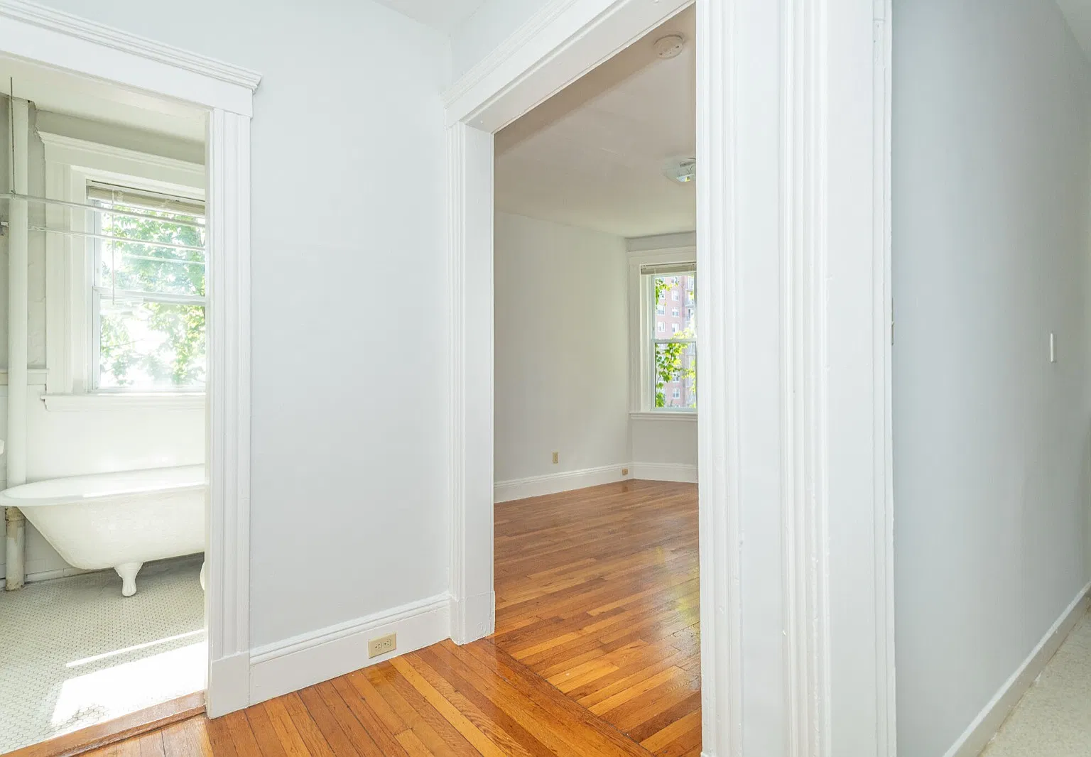 49 Worthington Street Apartments — Photo 3