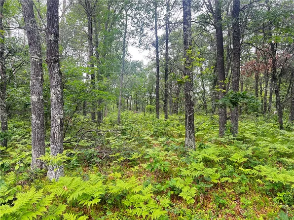 Lot 9 Flowage Road, Minong, WI 54859