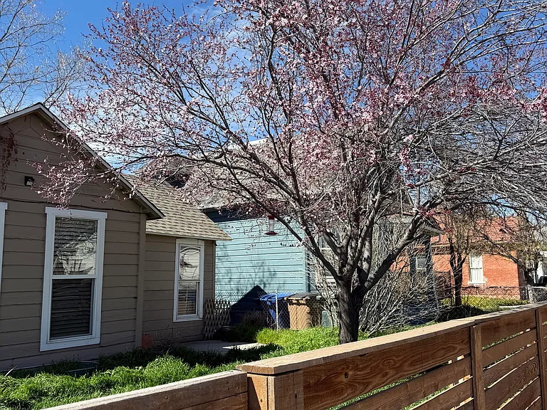 337 N Marion St #A — Photo 2