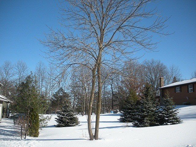2nd image of 233rd Ave