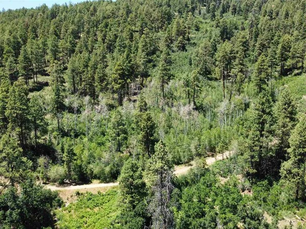 140 Jackalope Drive, Bayfield, CO 81122