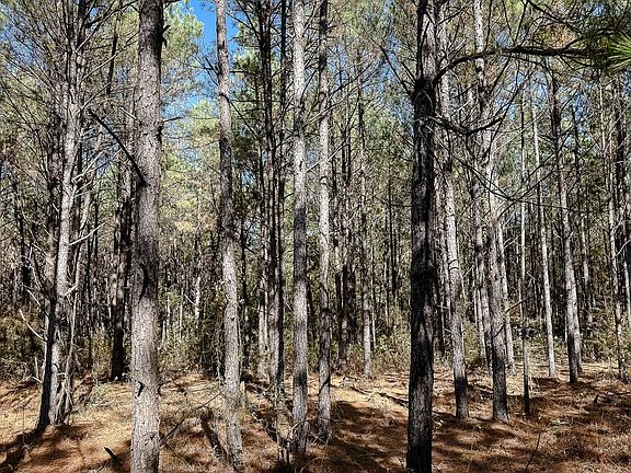 Compass South Land Sales Louisiana Robert Rawls 5