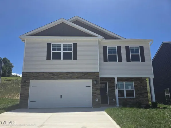 127 Mint Ct, Bluff City, TN 37618