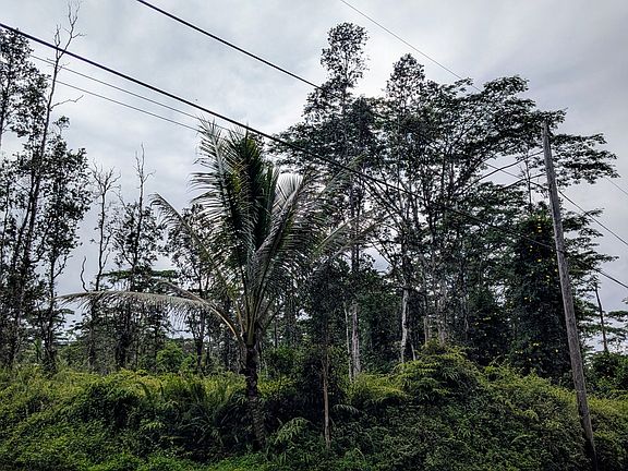 4th image of Puna Rd Lot 583