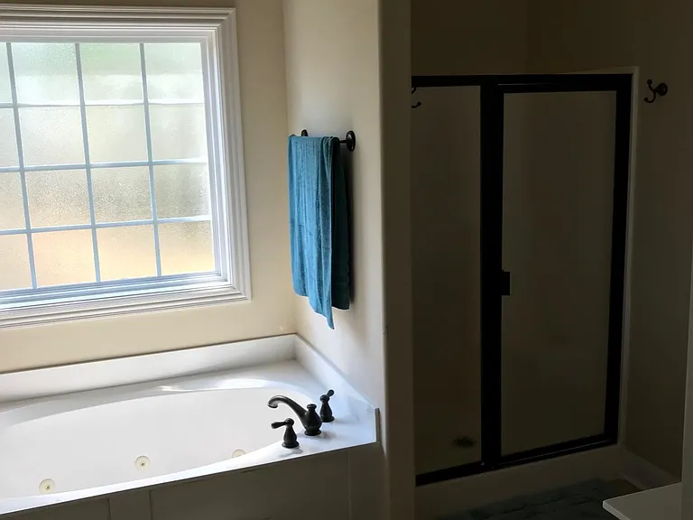 Master bathroom
