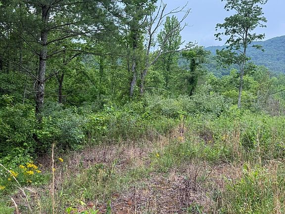2nd image of LOT 6D Meadow View Ln