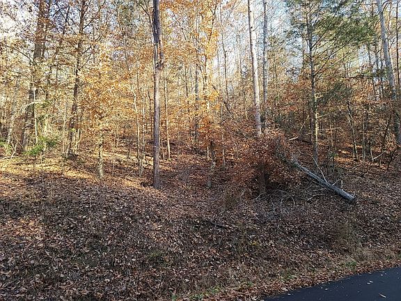 3rd image of 0 Bear Mountain Ln Lot 17
