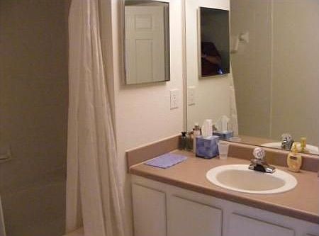 4th image of 181 SW Palm Dr APT 202
