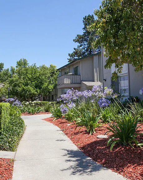 Campbell West Apartments — Photo 8