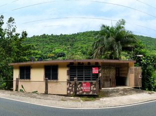 State Route 173, Aibonito, PR 00705