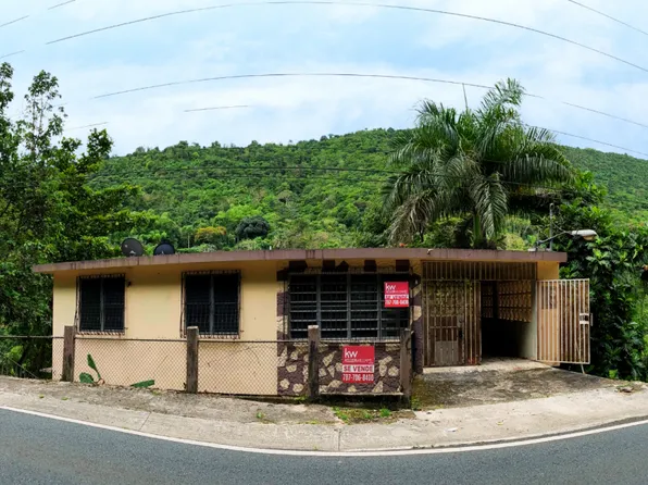 State Route 173, Aibonito, PR 00705