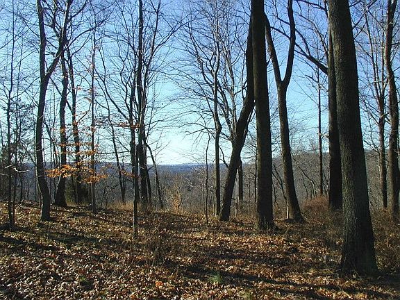 Privacy w/scenic rear views