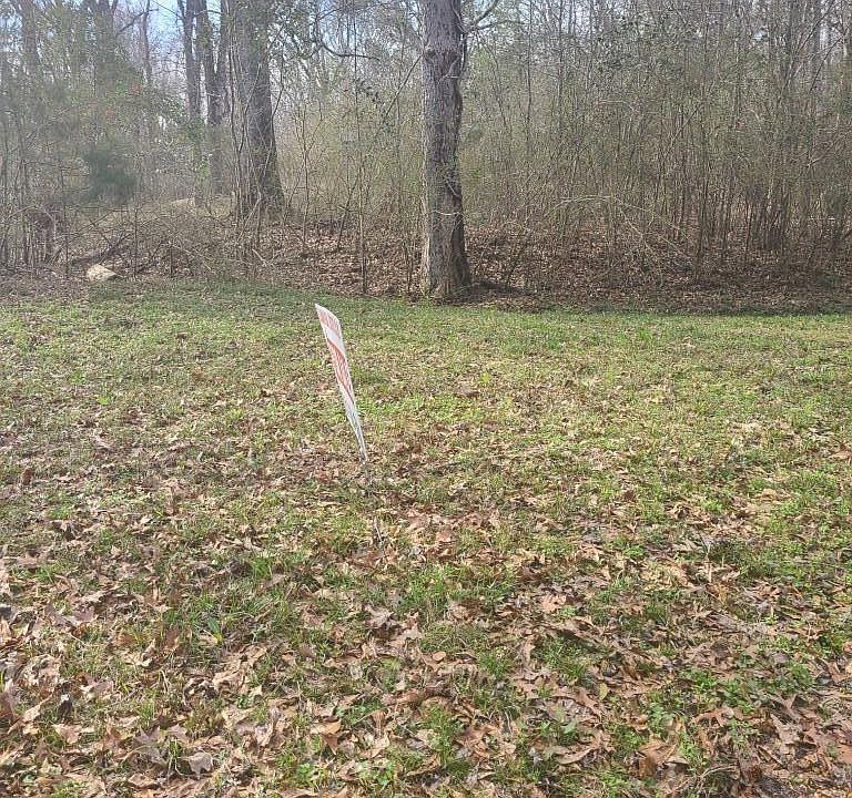 0 Hester Railroad Rd, Roxie, MS 39661 Zillow