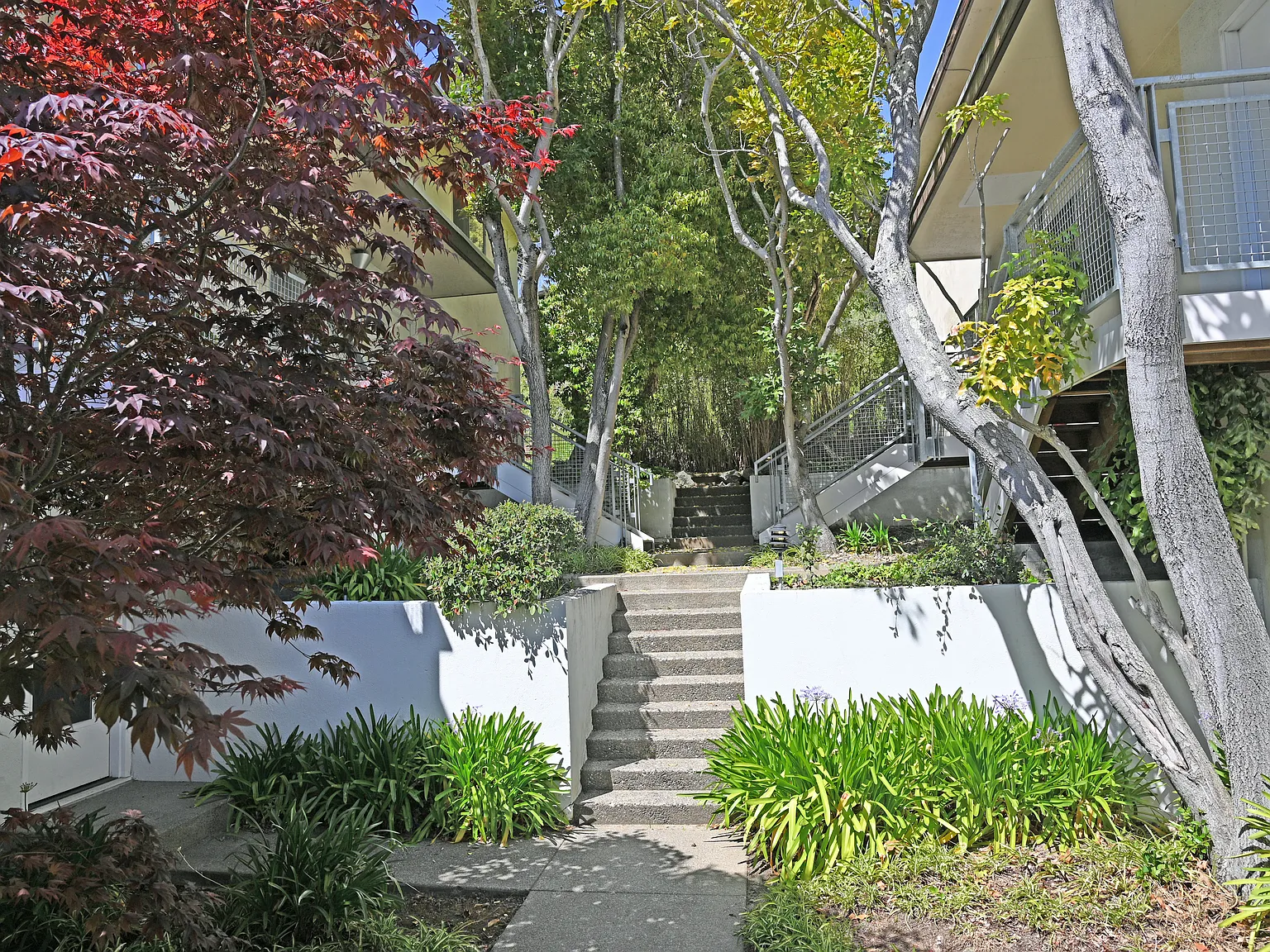 2 bed, 920 sqft, $3,250 — Photo 2
