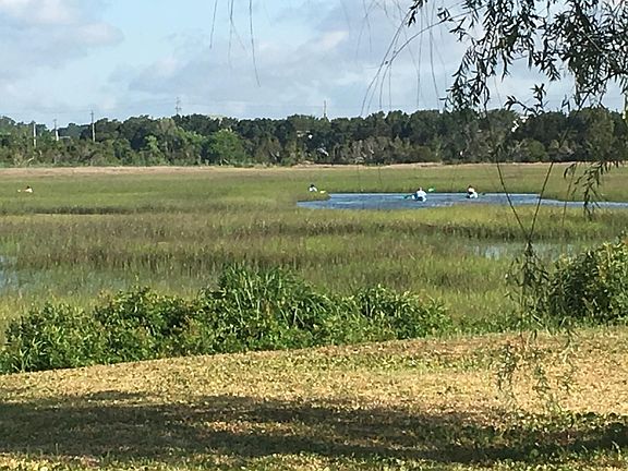 Backyard view. Launch kayaks and paddleboards.