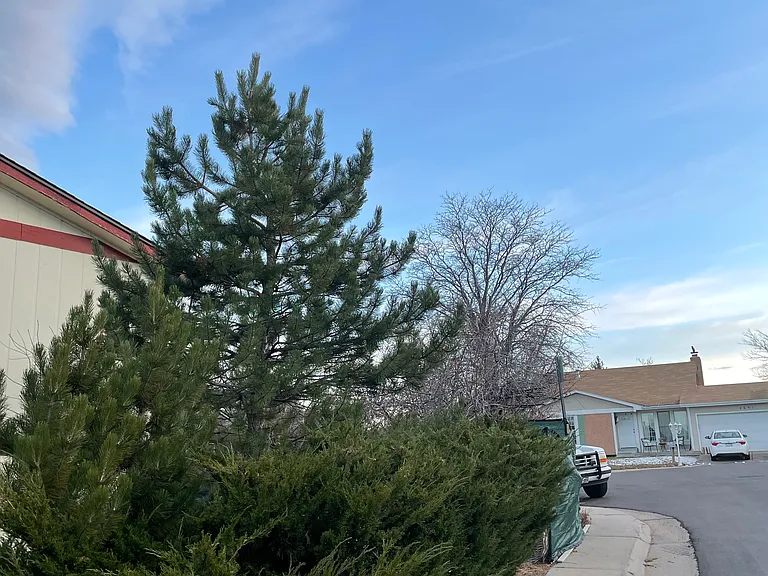 Street loop with rear neighbors and mature trees and bushes. Fenced back yard to the right, and curving sidewalk through greenbelts just past that (see other photos for that view).