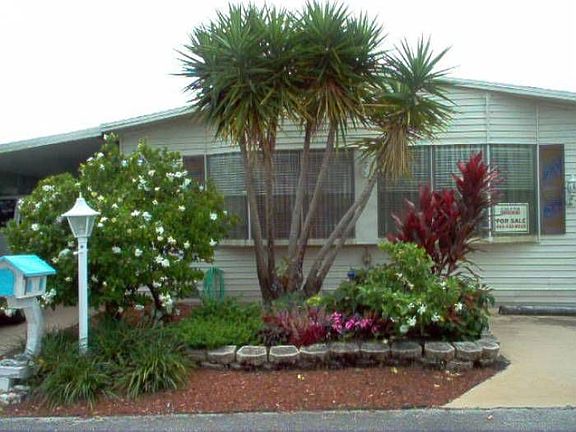 Gardenias/front gardens