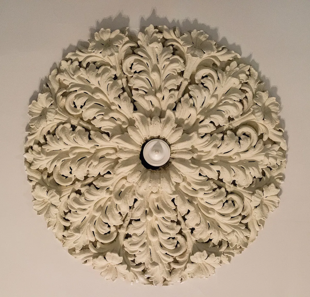 831 Park Ave photo 1