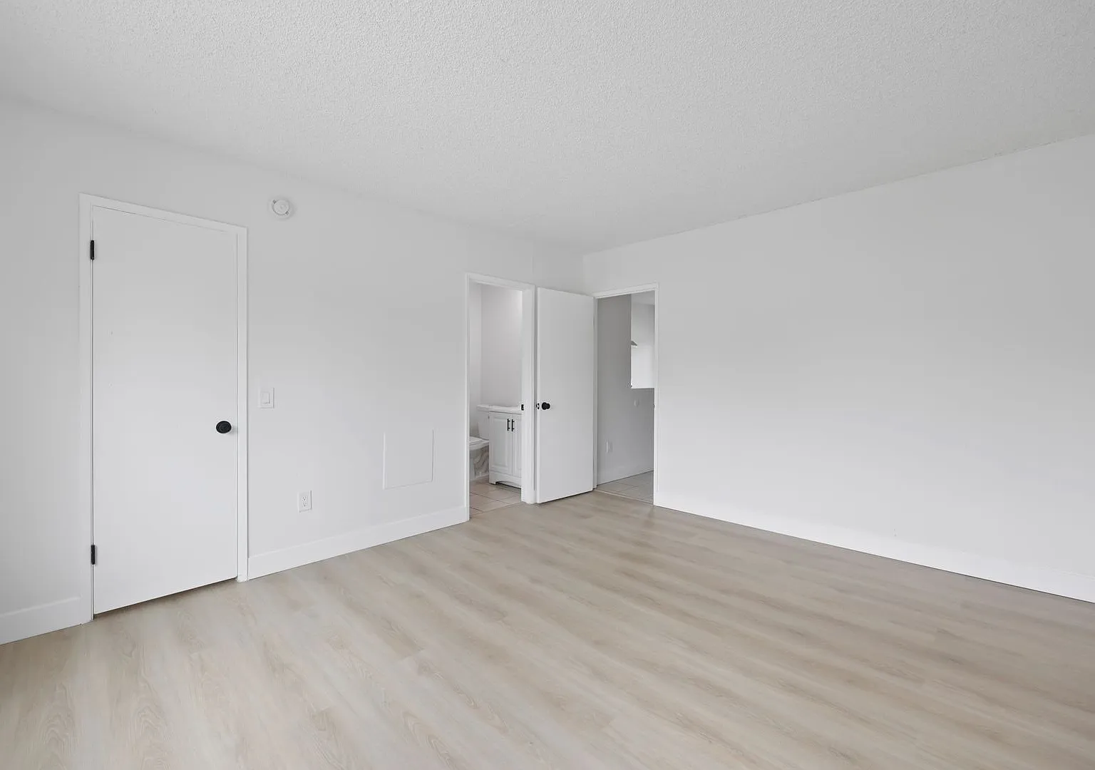 1 bed, 625 sqft, $1,595 — Photo 3