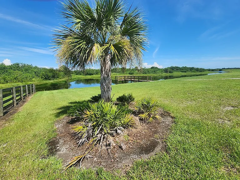 Spanish Moss Eco Apartments — Photo 30