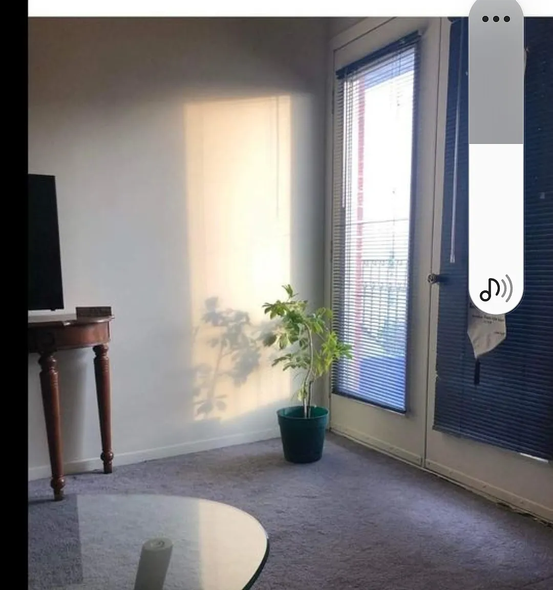 1 bed, $2,300 — Photo 3