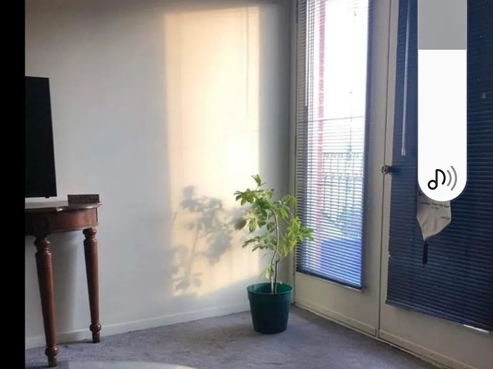 239 Orchard St #2A