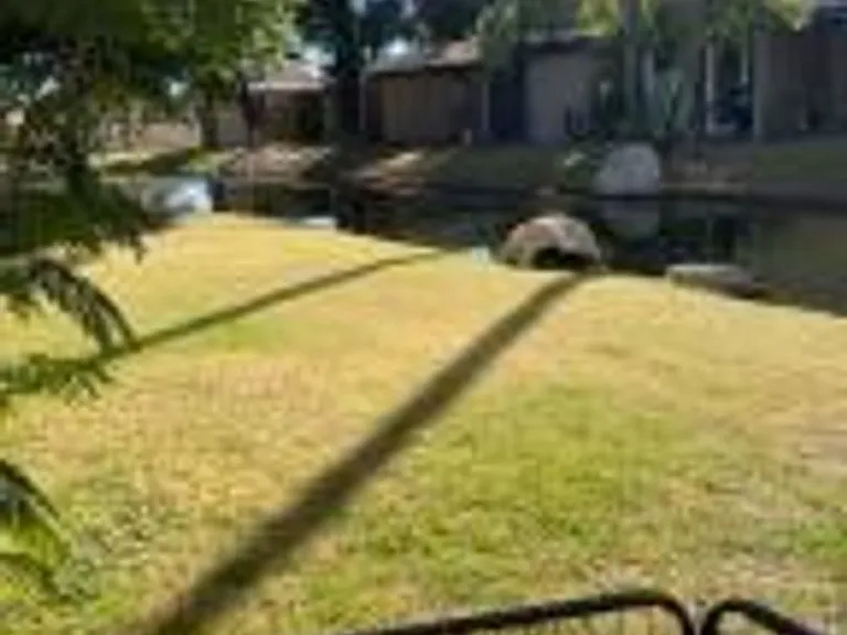 2232 W Lindner Ave #41 — Photo 29