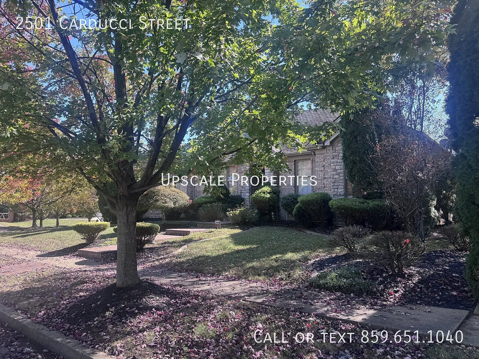 2501 Carducci Street — Photo 2