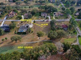 493 E Dakota Ct, Hernando, FL 34442