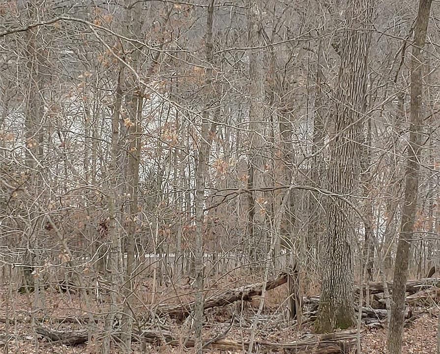 1st image of 697 Castle Ct