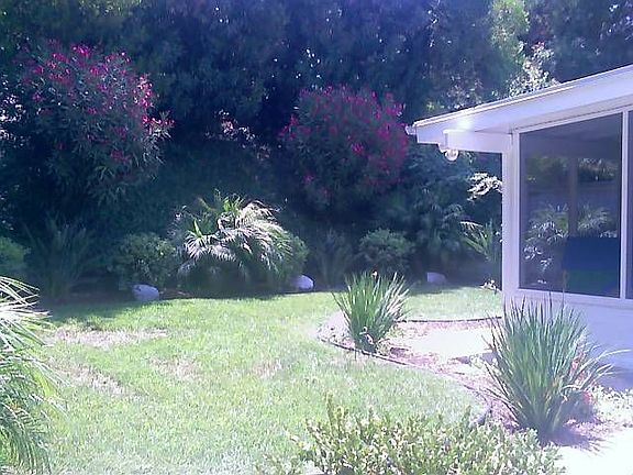 Beautiful backyard