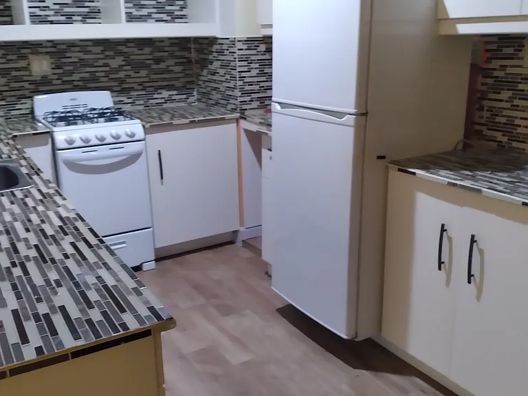 White Birch Dr — Photo 5