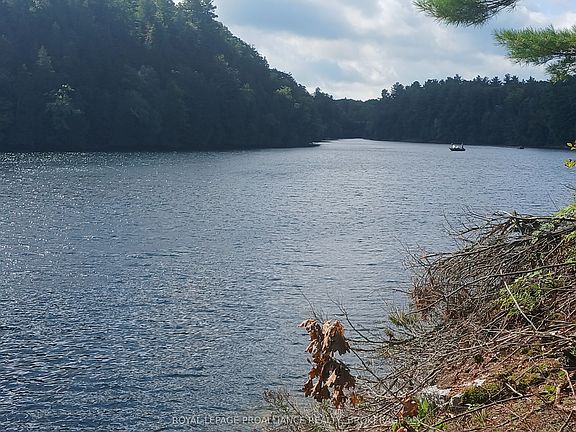 3rd image of 1030 Lodge Ln