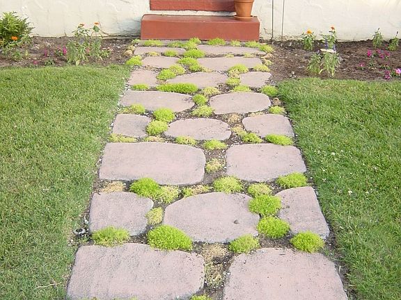 walkway