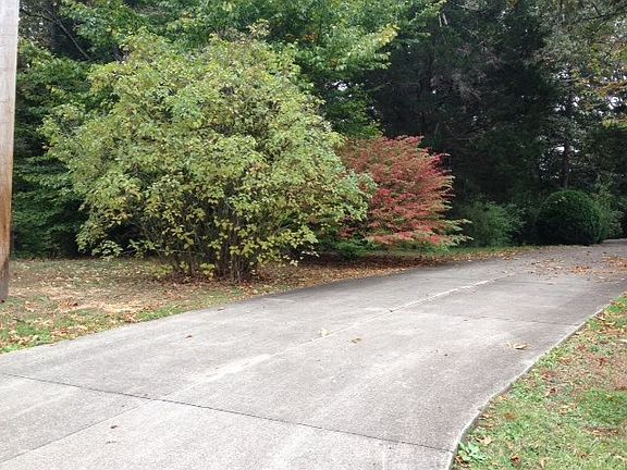 4th image of 346 Dogwood Cir