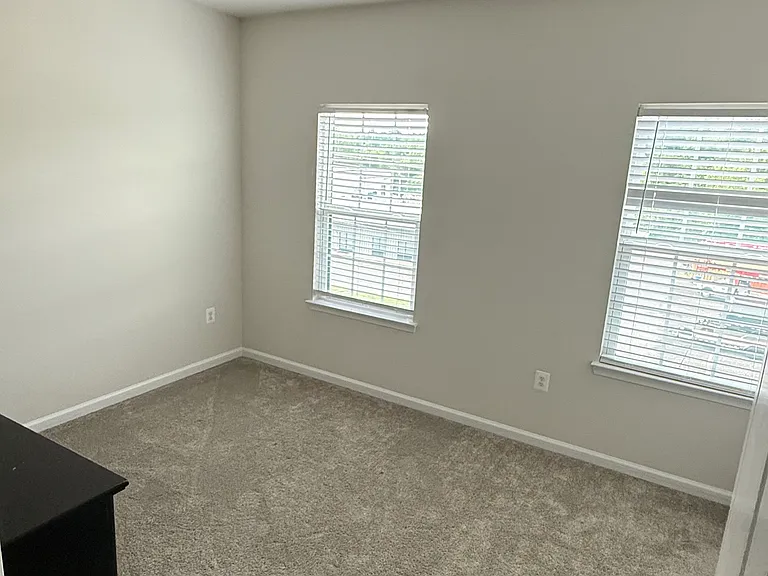 1030 Alum Spring Rd — Photo 20