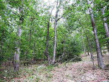 3rd image of Caldwell Ln