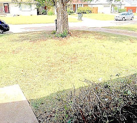 4th image of 2008 Hasley Dr