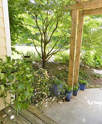5th image of 8292 Plum Grove Dr